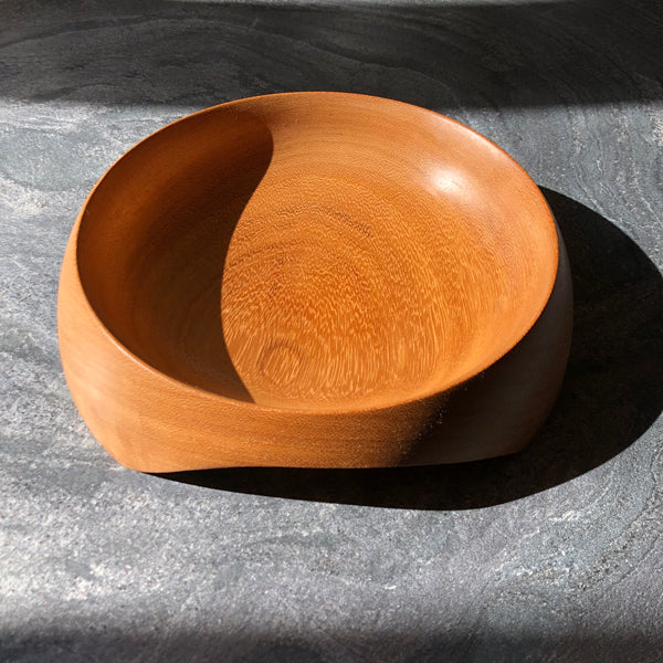 The Ultimate Dog Bowl